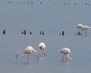 Salins route du sel